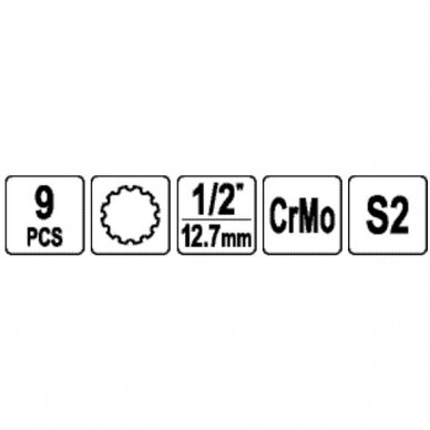 1/2" Dr. Bit socket impact set (SPLINE) 9pcs 2